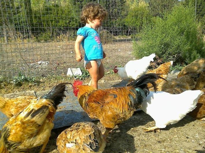 Spasmeni Vrisi ليغيا المظهر الخارجي الصورة